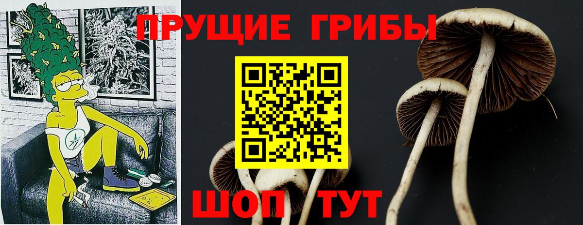 Магнитогорск  Псилоцибиновые грибы GOLDEN TEACHER  цены   Вход с VPN  Галлюциногенные грибы прущие грибы 