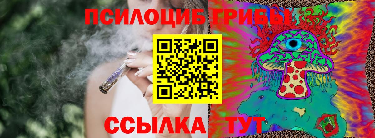 Галлюциногенные грибы прущие грибы Магнитогорск